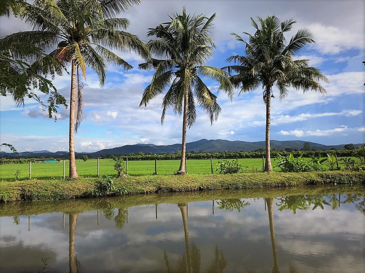 椰子树度假村 Ban Cho Lae 外观 照片