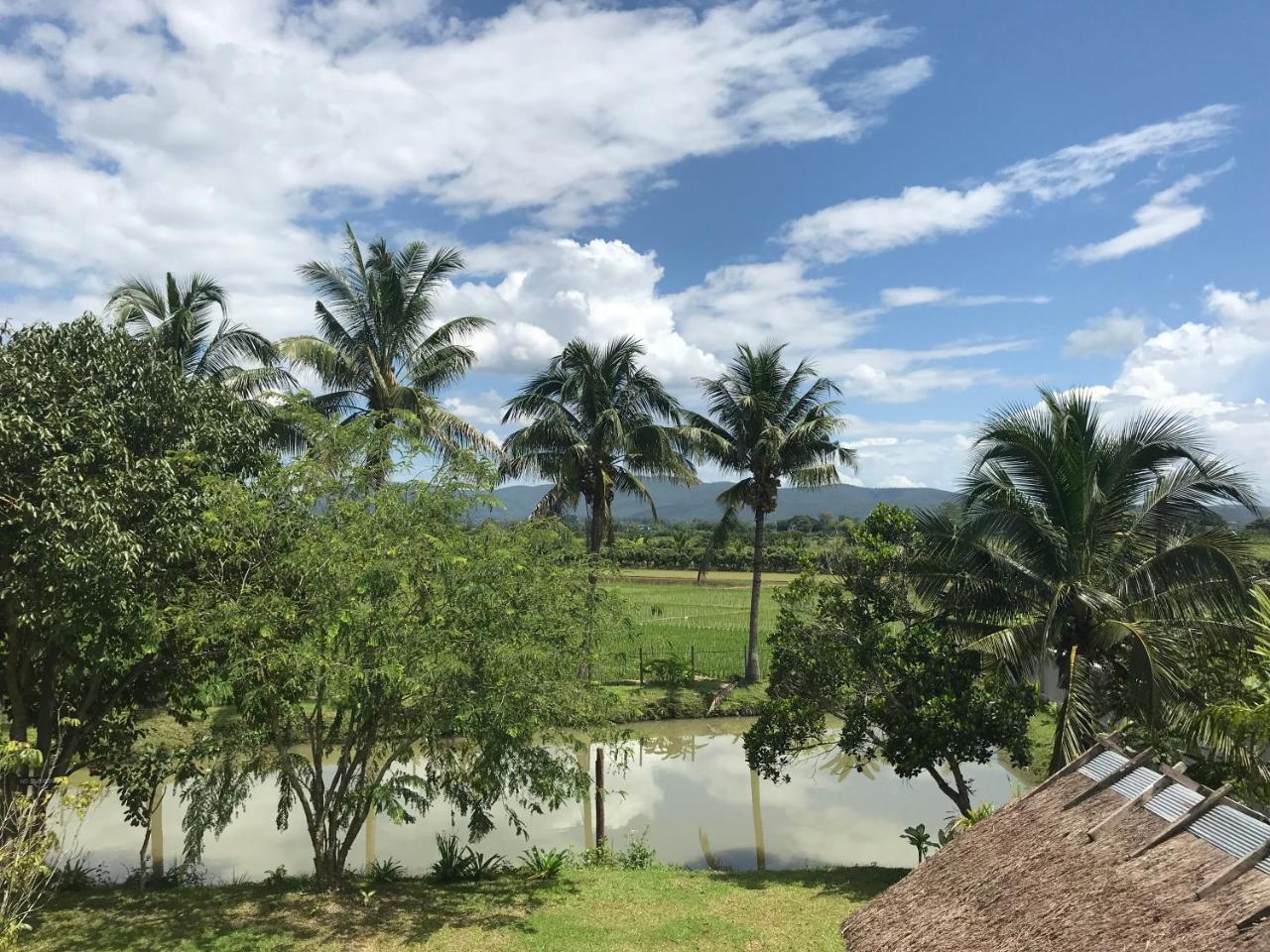 椰子树度假村 Ban Cho Lae 外观 照片
